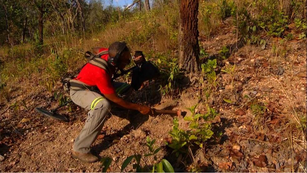 Lavrador compra detector de metais para caçar ouro e encontra 'tesouro' do Brasil colonial