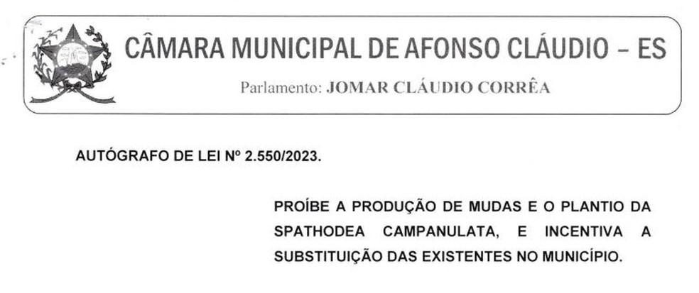 Cidade no ES proíbe plantio e determina cortes de árvore por ‘beleza tóxica’; entenda