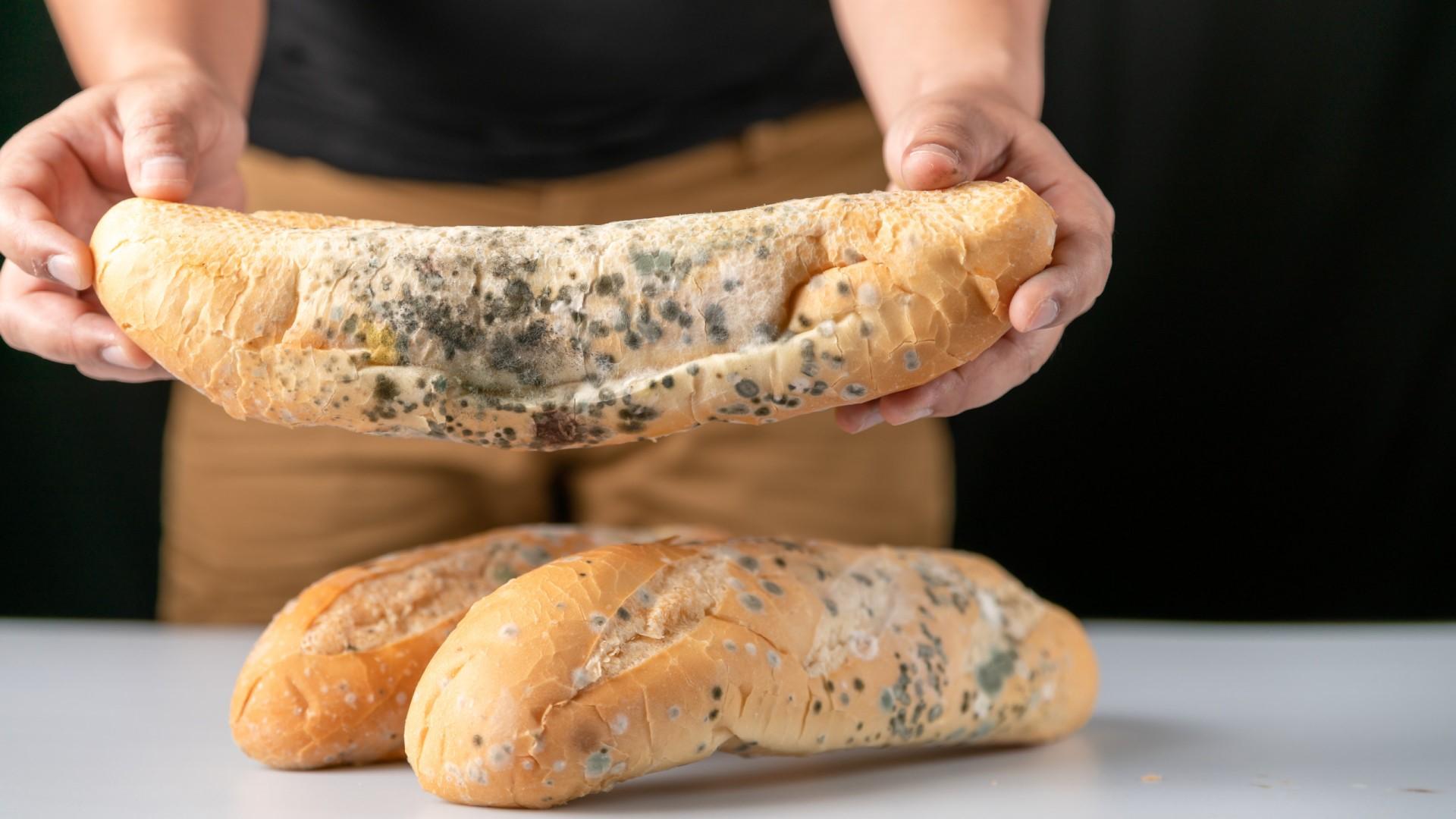 É seguro comer pão com bolor? Médico esclarece a dúvida