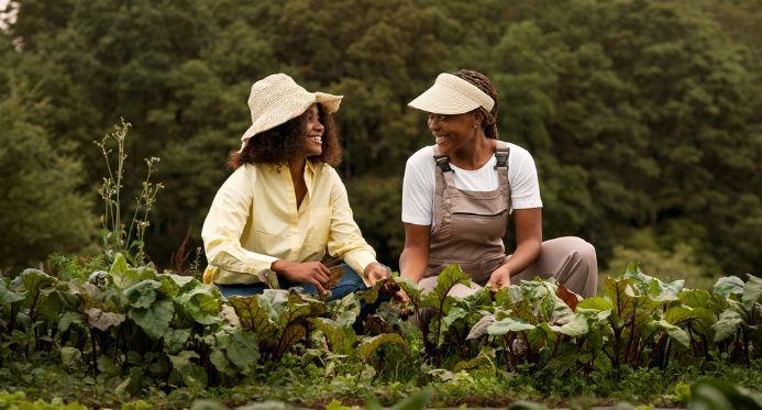 Aplicações de Crédito Rural no Espírito Santo alcançam R$ 5,9 bilhões em dez meses