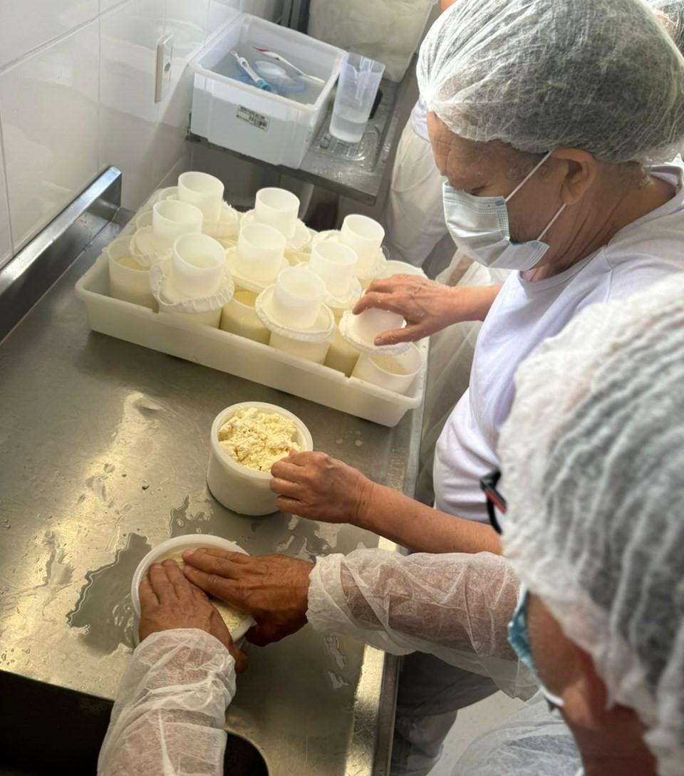 Curso prepara agroindústrias de queijo para regularização no Norte e no Noroeste do ES