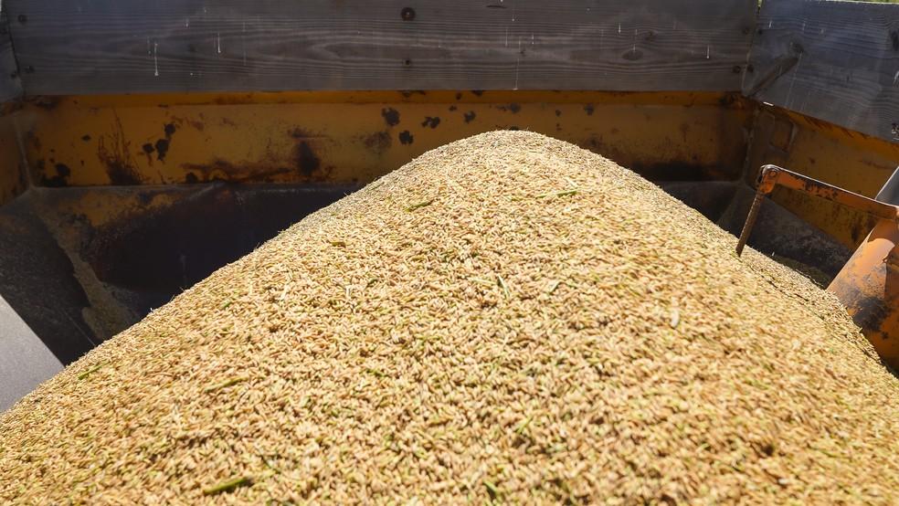 Governo marca leilão de compra de arroz importado para o dia 6 de junho