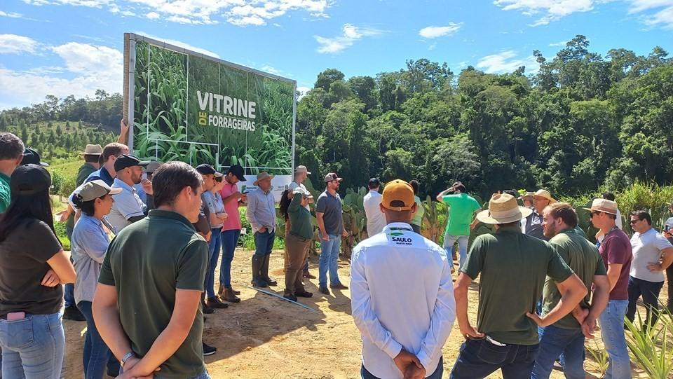 Pecuaristas melhoram produção e renda após capacitações no Incaper no ES