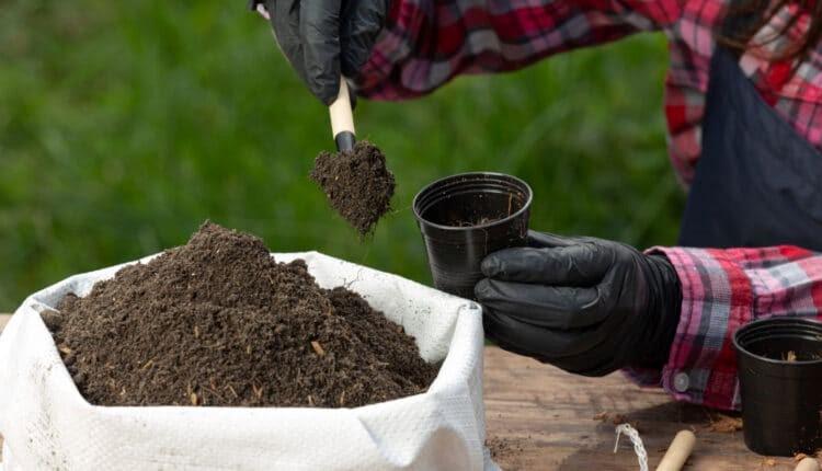 Produto raro descoberto no Brasil pode tornar o país um dos mais ricos do mundo