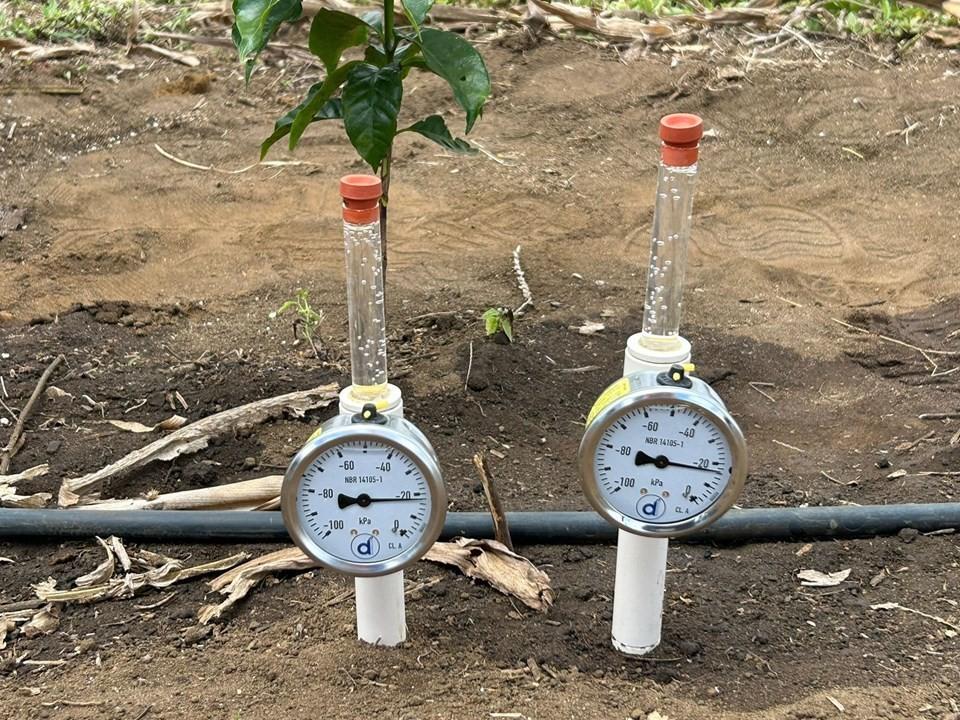 Unidades demonstrativas vão incentivar irrigação sustentável na cafeicultura do ES