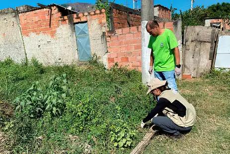 Após morte, Fiocruz alerta para meningite transmitida por caramujo