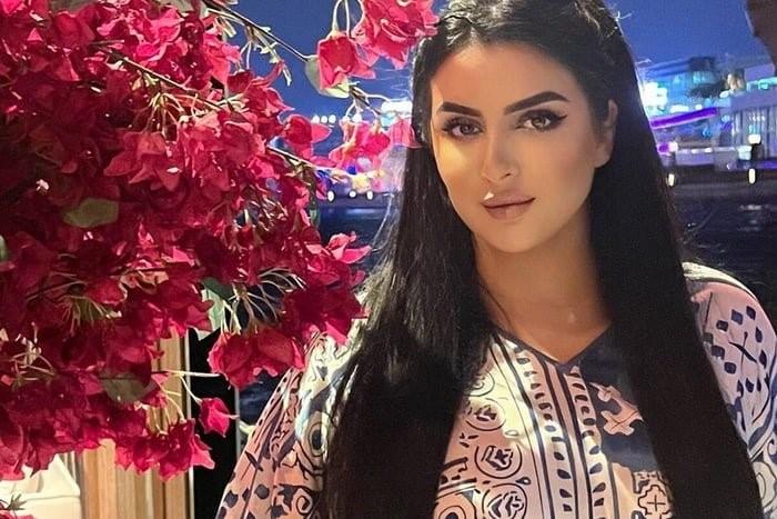 Princesa de Dubai se revolta com o marido e pede divórcio pela web