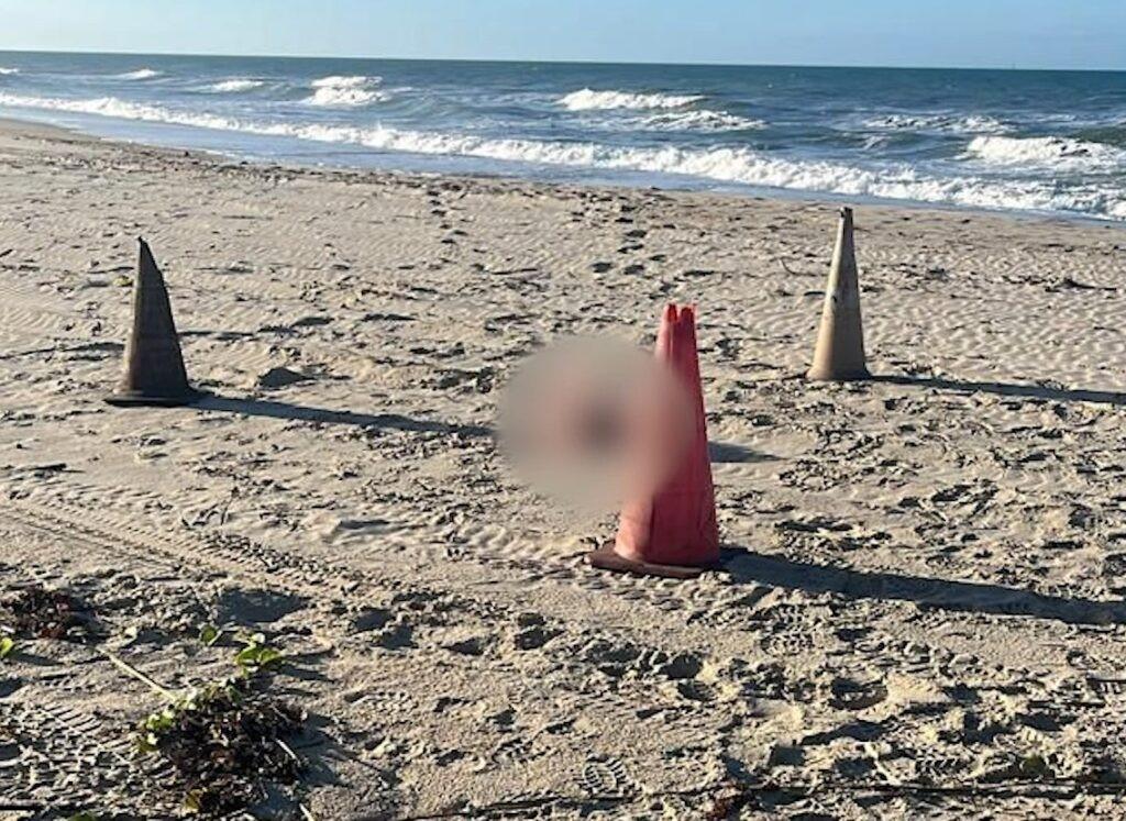 Cabeça humana é encontrada na praia após corpo decapitado ser achado no mar em cidade vizinha