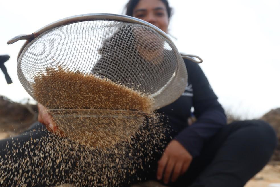 Conceição da Barra é a segunda mais poluída por microplástico no Brasil, aponta estudo