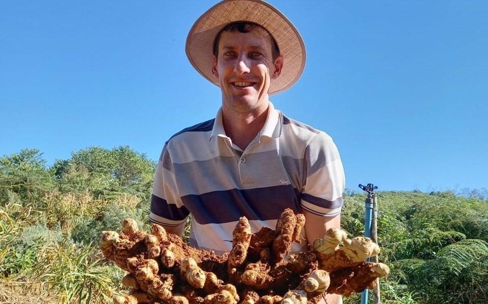 Produtor de gengibre do ES exporta diretamente para empresa neerlandesa