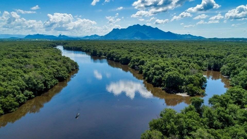 Governo do Estado abre edital para projetos de pesquisa e extensão com foco na restauração de manguezais