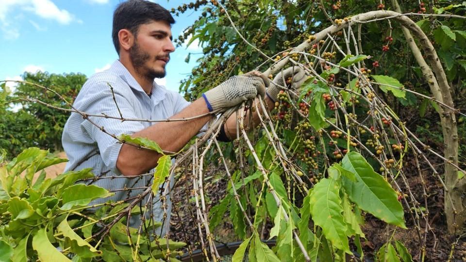 Governo do ES publica novo decreto para fomento a negócios de impacto socioambiental