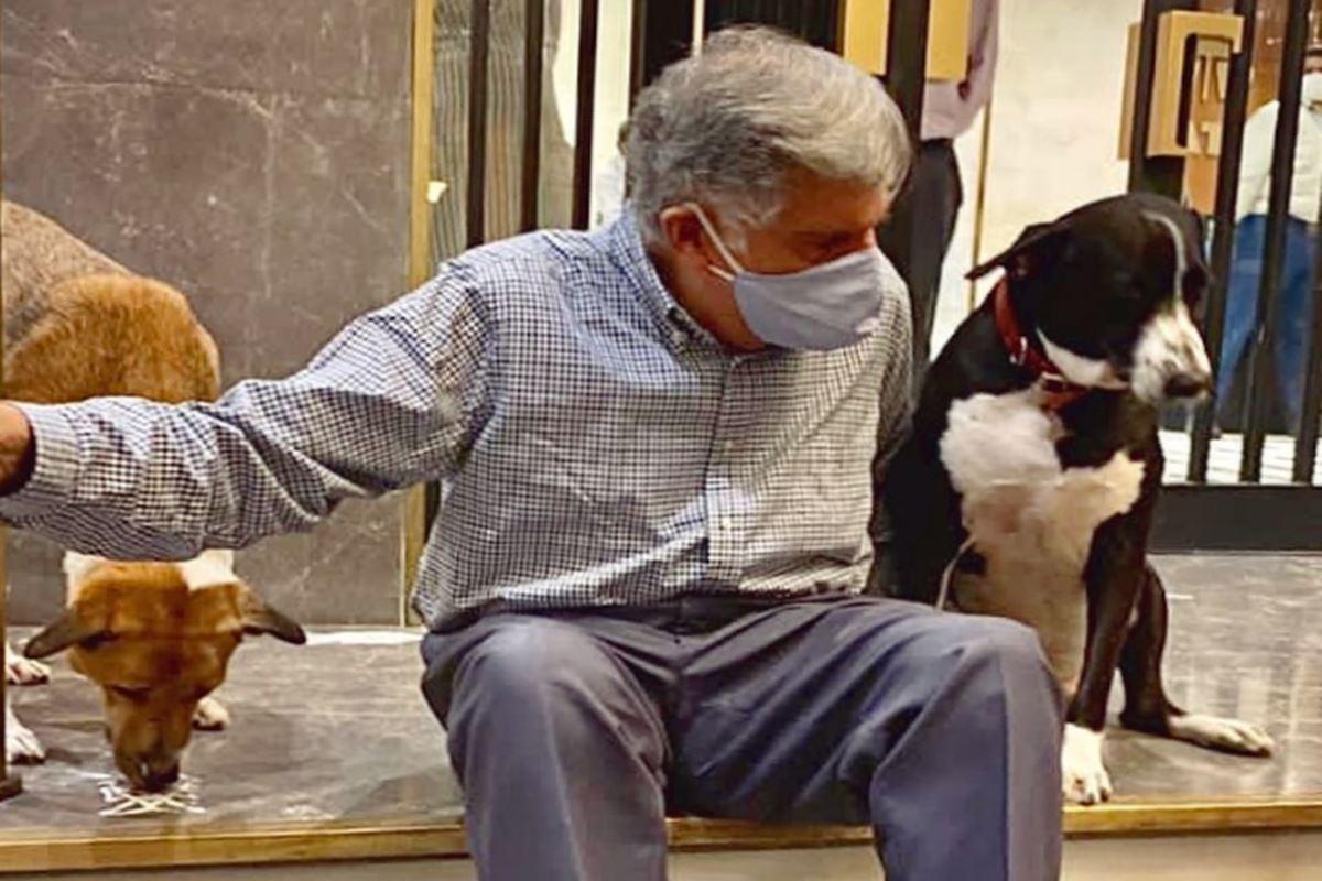 Cachorro e funcionários herdam R$ 670 milhões de magnata indiano