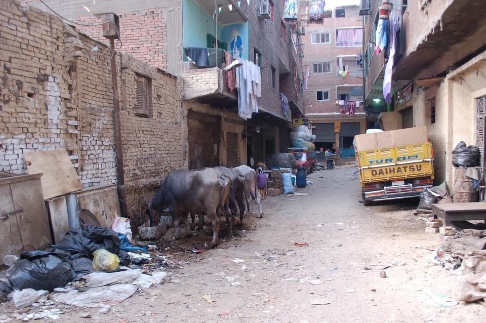 “Cidade do Lixo”, no Cairo, é conhecida por odor forte e pilhas de resíduos pelas ruas