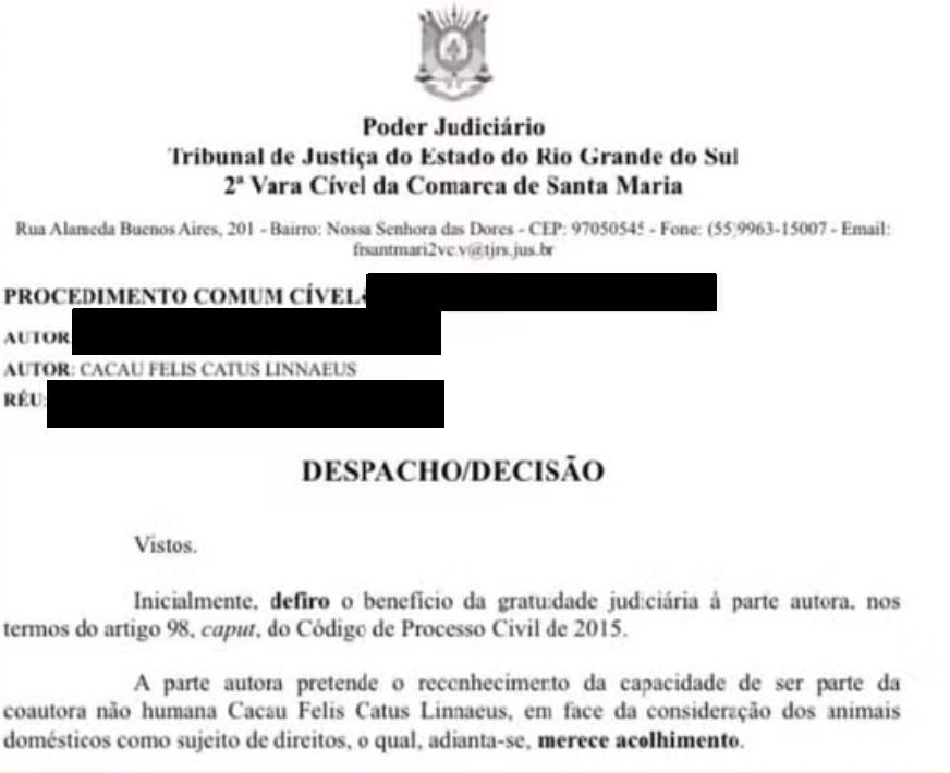 Gata entra com ação judicial contra clínica veterinária