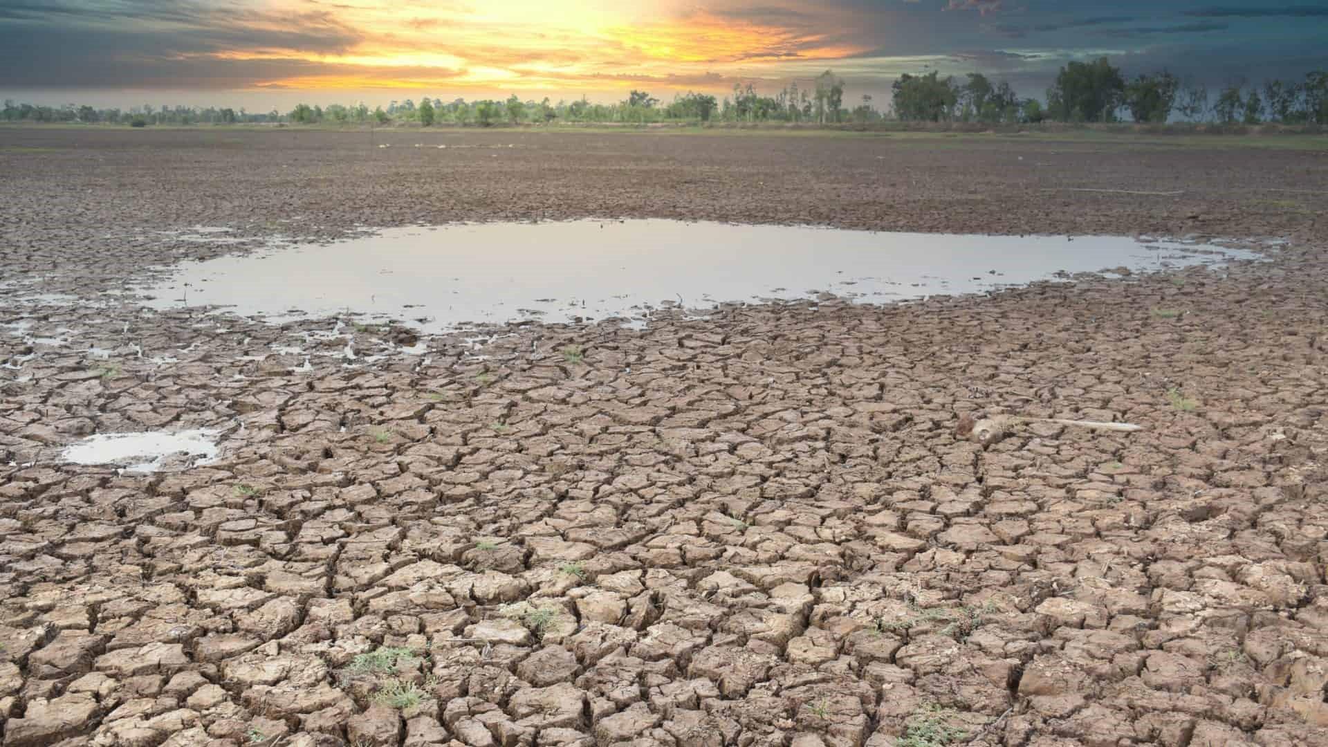 Um dos maiores lagos do mundo virou deserto – como isso aconteceu?