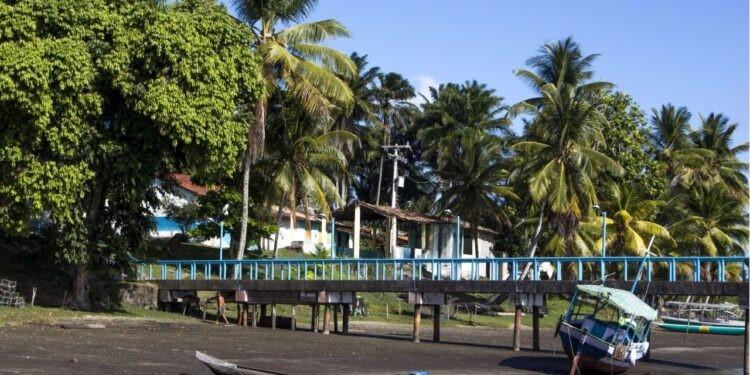 Conheça a fascinante capital baiana do caranguejo e sua cultura única