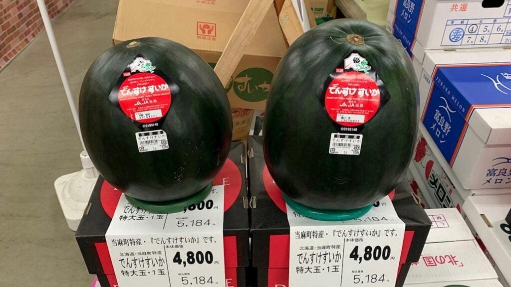 Melancia preta atrai mercado com sabor único e aparência exótica
