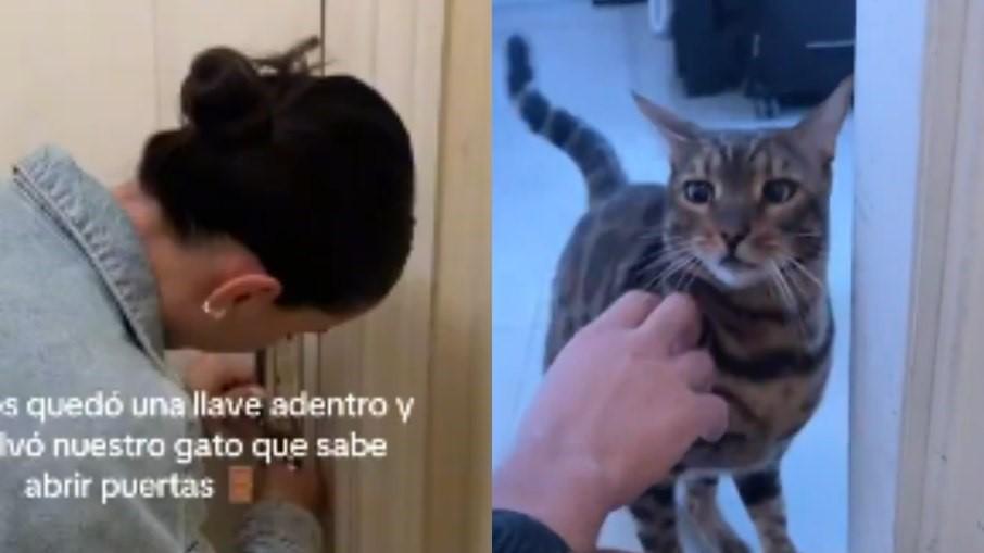 Casal fica trancado em apartamento e é socorrido por ‘gato herói’