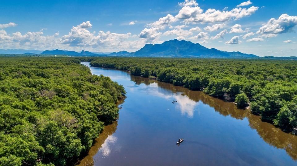 Espírito Santo institui Política Estadual de Biodiversidade e lança novo programa de conservação ambiental