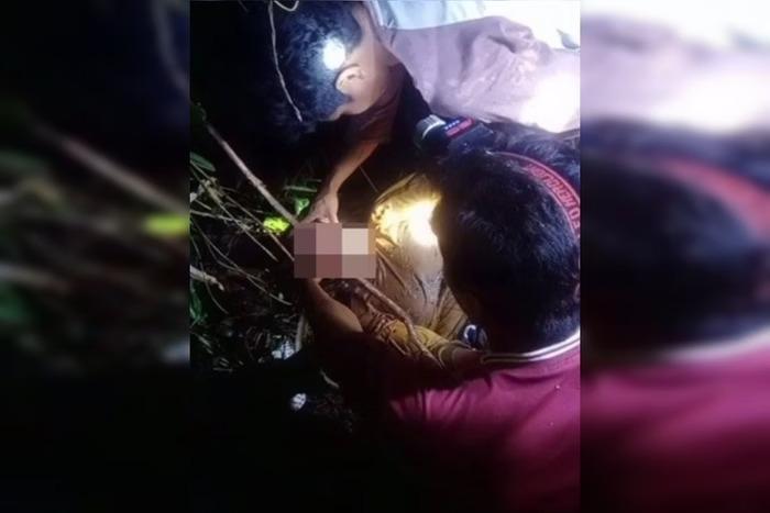 Homem encontra mãe morta com a cabeça na boca de cobra gigante