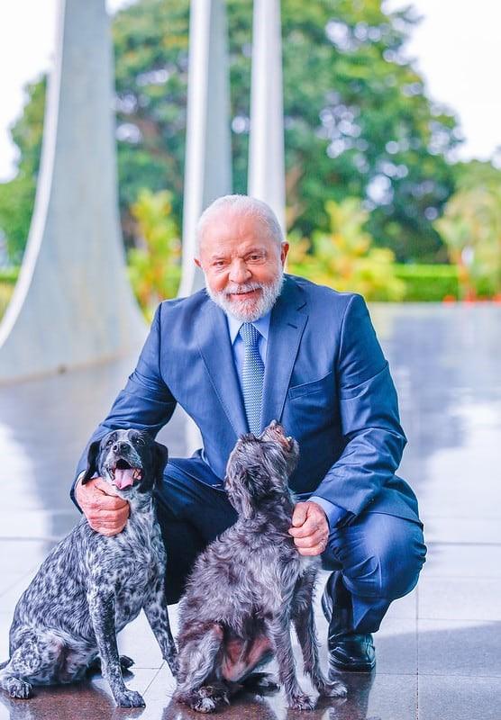 Veja como vai funcionar o ‘RG animal’, lançado por Lula nesta quinta-feira (17)