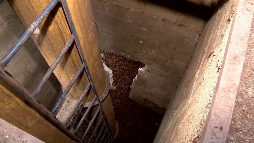 Trabalhador morre ao cair em máquina de secador de café, em São Mateus, no ES