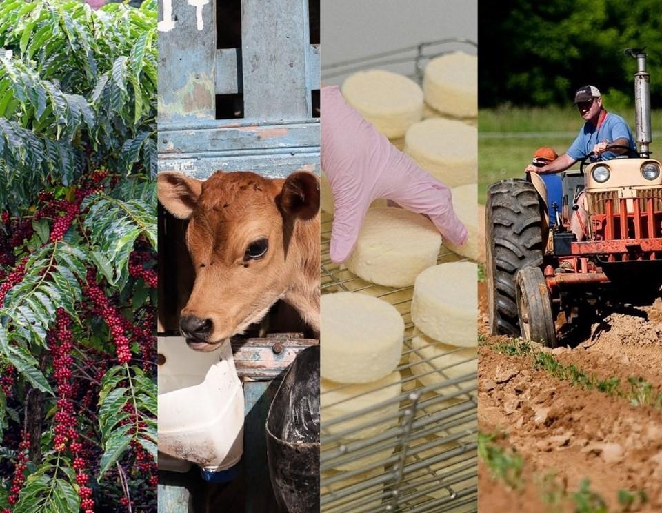 Espírito Santo bate recorde de crédito rural na safra 2024/2025 com alta de 23,6%