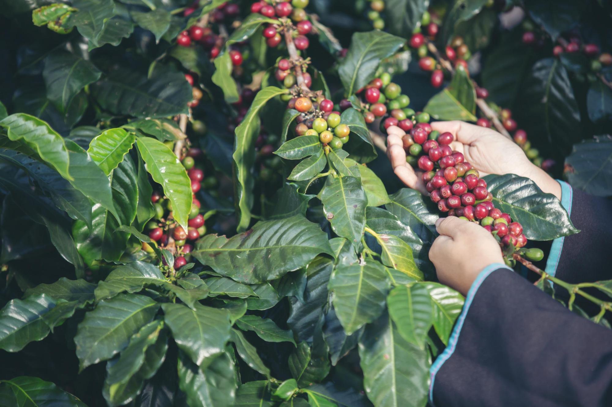 Espírito Santo cria 8.553 empregos formais em abril