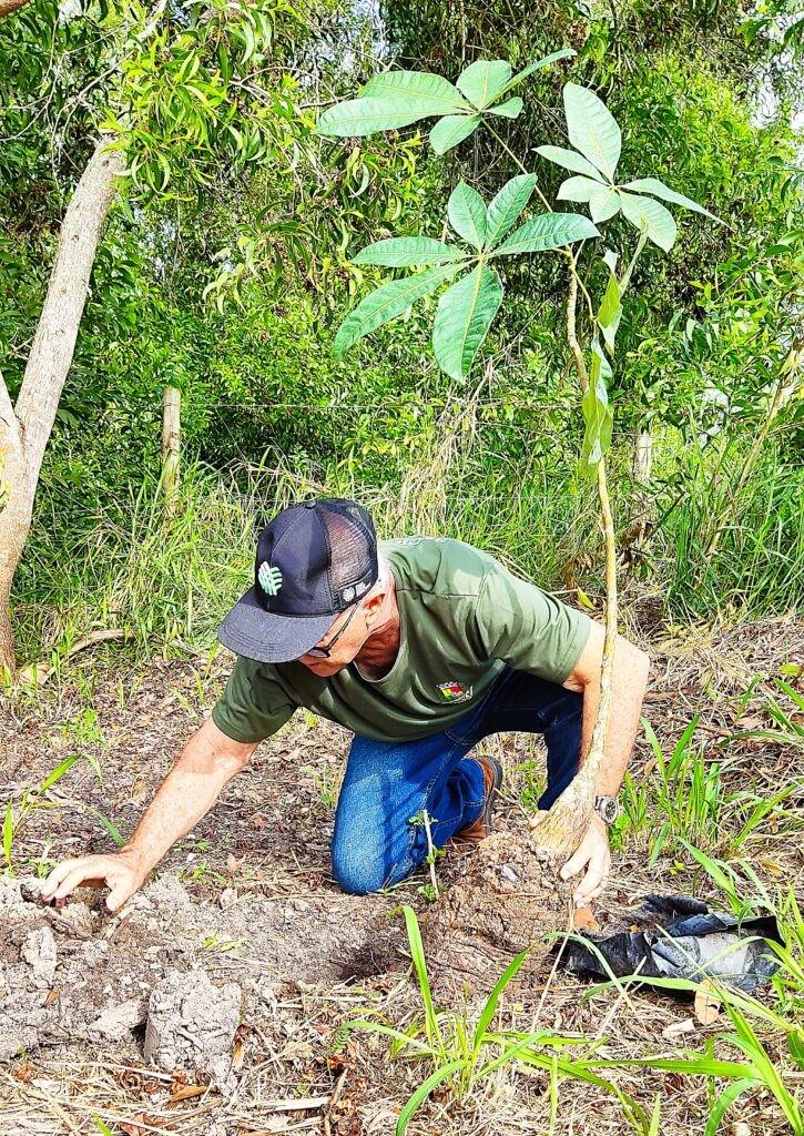 Escoteiros plantam mudas nativas em trilha de São Mateus, ES