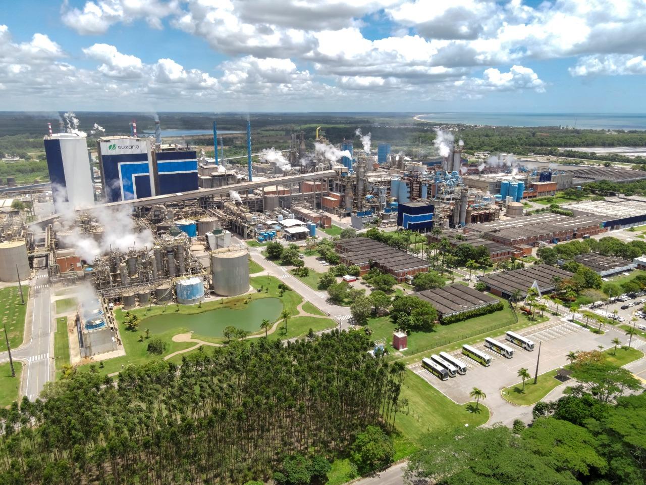 Suzano e a responsabilidade socioambiental: um compromisso com o futuro