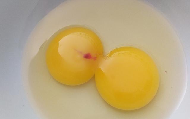Descubra o que significa uma mancha vermelha na clara do ovo