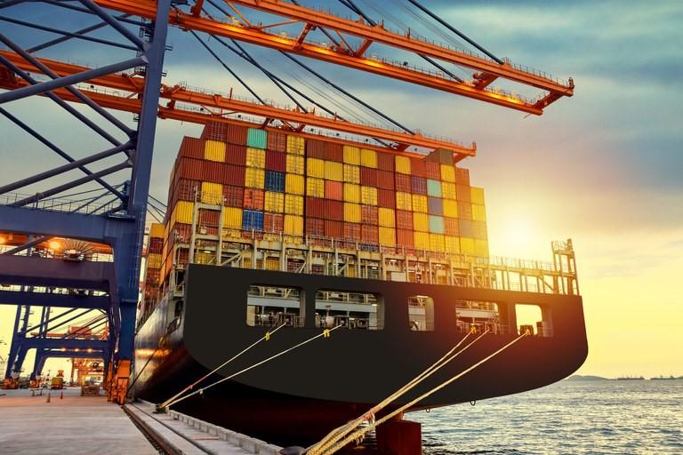 Exportação: 17 países liberam carne de frango do Brasil