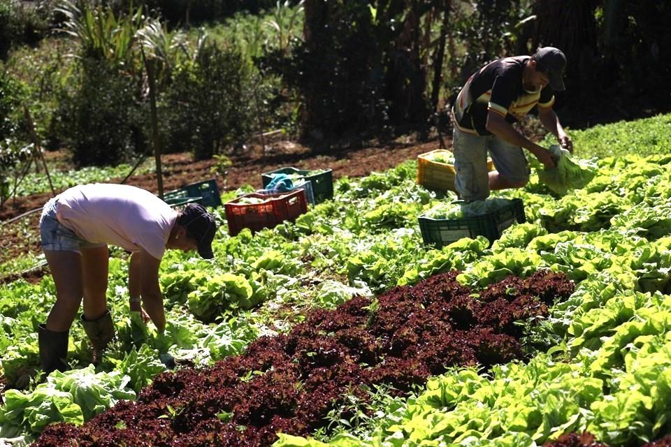 Programa Fomento Rural já beneficia 570 famílias do Espírito Santo