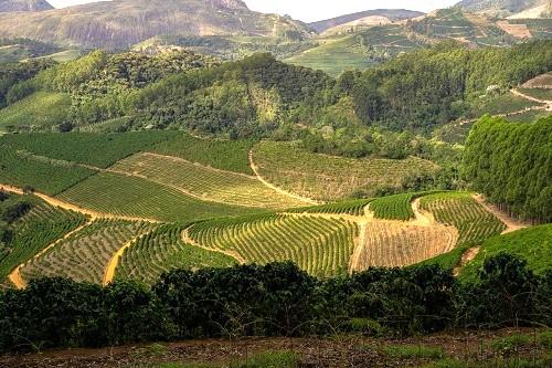 Primeiro contrato do Programa de Pequenas Barragens no ES é de produtora de cafés especiais em Brejetuba