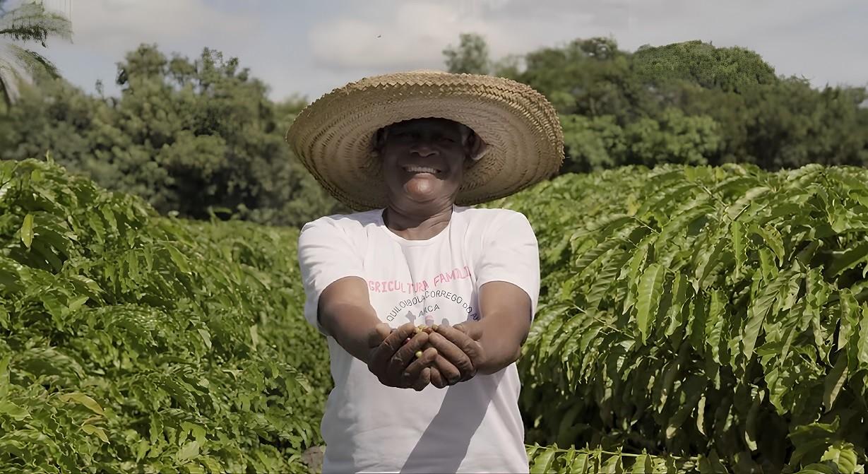 Projeto Quilombo do Café fortalece agricultura em comunidade de Conceição da Barra, no ES