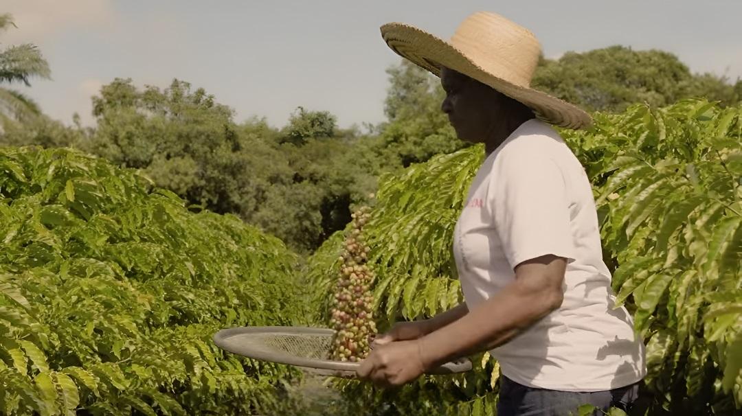 Projeto Quilombo do Café fortalece agricultura em comunidade de Conceição da Barra, no ES