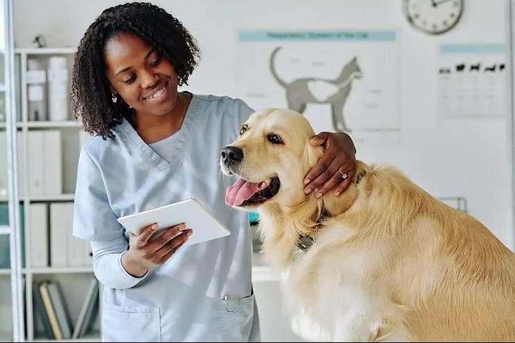 Deputado Messias Donato propõe barrar portaria do MEC que autoriza Medicina Veterinária a distância