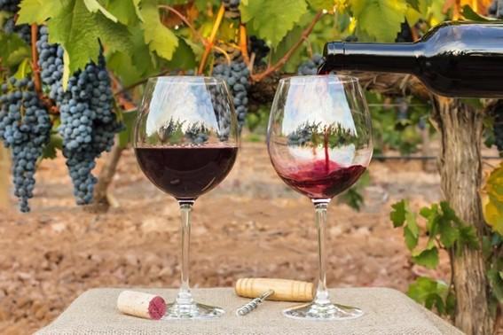 Seminário aborda produção de uvas de inverno e vinhos finos no Espírito Santo