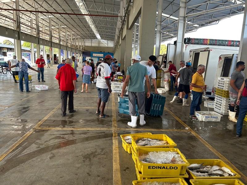 Mercado de peixes da Ceasa-ES: um espaço de tradição e qualidade