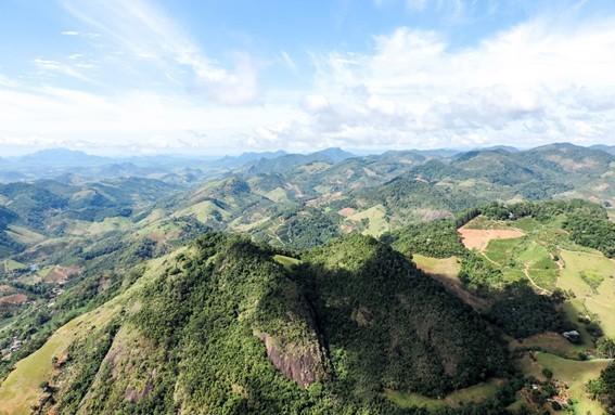 ES ultrapassa 2 milhões de mudas plantadas e reafirma liderança nacional em recuperação da Mata Atlântica