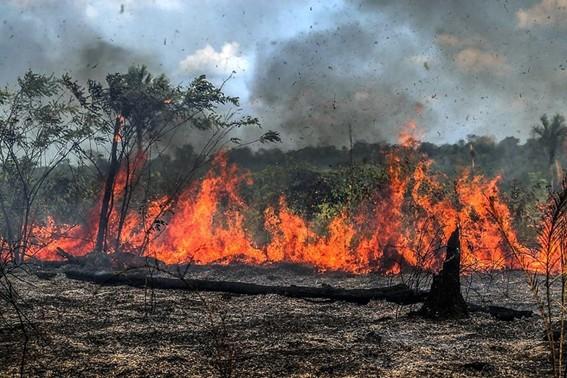Idaf reforça ações de combate a queimadas ilegais em período de estiagem, no ES