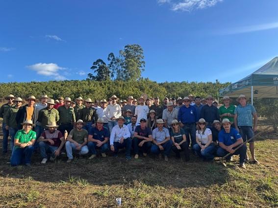 Encontros técnicos promovem práticas para fortalecer produção capixaba de tangerina