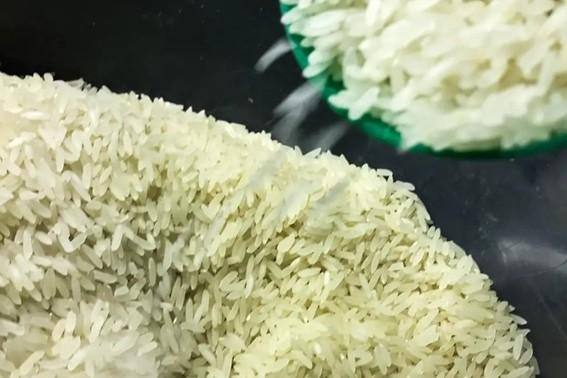 Governo anuncia R$ 300 milhões para apoiar produtores de arroz da Safra 2025/2026