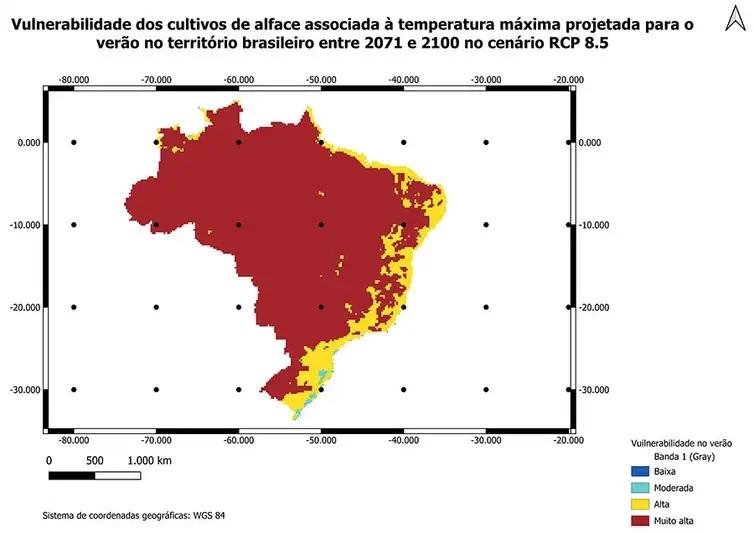 Crise climática ameaça cultivo de alface em campo aberto, diz Embrapa