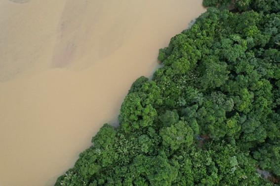 Portaria Conjunta abre seleção para criação de nova RPPN na bacia do Rio Doce, no Espírito Santo