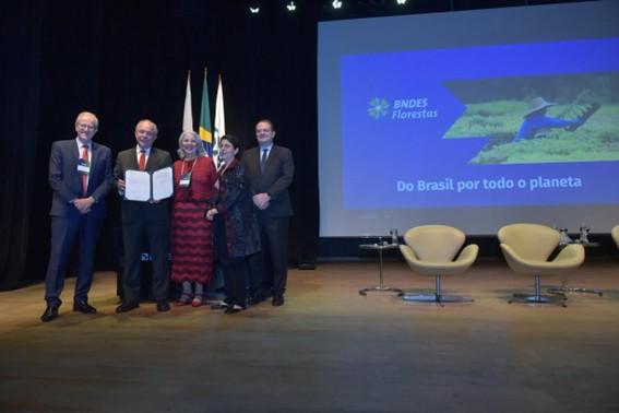 BNDES aprova R$ 250 milhões para a Suzano restaurar 24 mil hectares de Cerrado, Mata Atlântica e Amazônia