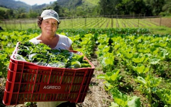 Dia Internacional das Mulheres Rurais: elas transformam o campo e inspiram o futuro da agricultura no Espírito Santo