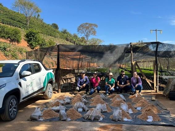 Experimento com substratos sustentáveis busca reduzir custos da produção de mudas de café
