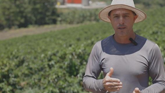 Cafeicultores do Espírito Santo contam no Youtube sua experiência com cultivares de café arábica desenvolvidas pelo instituto